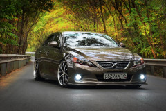 Комплект доводчиков дверей Rulium для Toyota Mark X 2010-2015